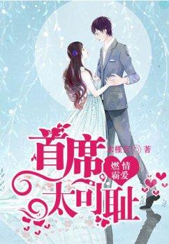 燃情霸爱:首席太可耻