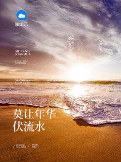 莫让年华伏流水