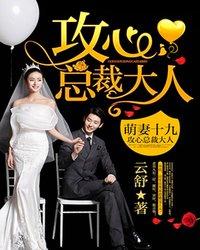 萌妻十九:攻心总裁大人