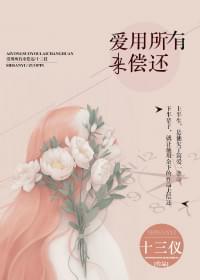 爱用所有来偿还