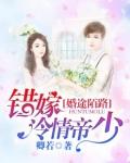 婚途陌路:错嫁冷情帝少