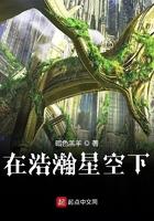在浩瀚星空下