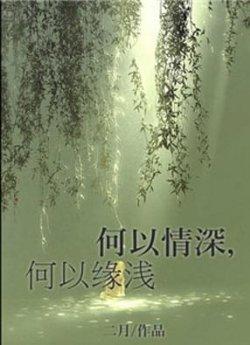 何以情深,何以缘浅