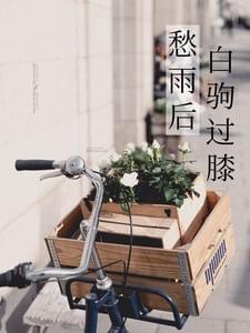 愁雨后白驹过膝