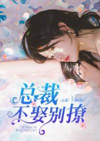 总裁,不娶别撩