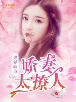 契妻难为:娇妻太撩人