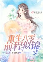 重生八零前程似锦