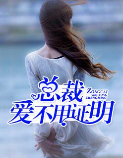总裁,爱不用证明