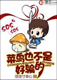 菜鸟也不是好骗的