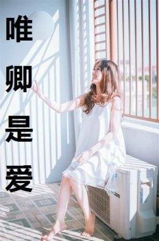 唯卿是爱