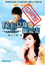 花心总裁的撒谎妻