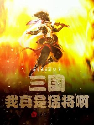 三国:我真是猛将啊