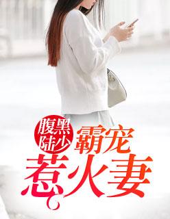 腹黑陆少,霸宠惹火妻