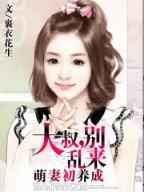 萌妻初养成大叔,别乱来