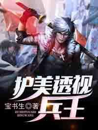 护美透视兵王