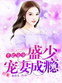 千亿宝宝:盛少宠妻成瘾