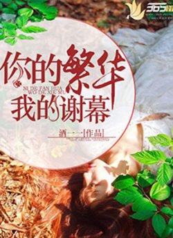 你的繁华,我的谢幕