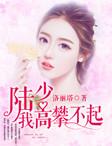 陆少,我高攀不起