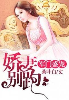 军门盛宠:娇妻,别逃