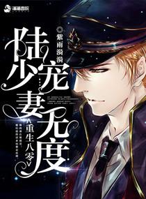 重生八零:陆少宠妻无度