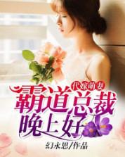 代嫁萌妻:霸道总裁晚上好