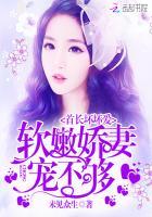 首长坏坏爱:软嫩娇妻宠不够