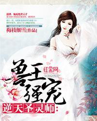 兽王强宠:逆天圣灵师