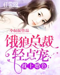 枕上婚色:饿狼总裁轻点宠