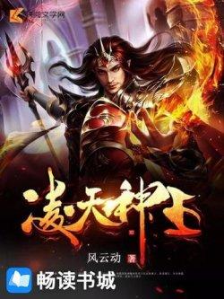 凌天神王