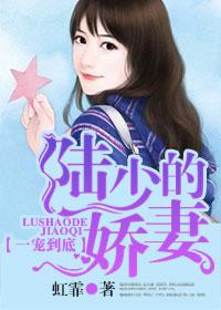 一宠到底,陆少的娇妻