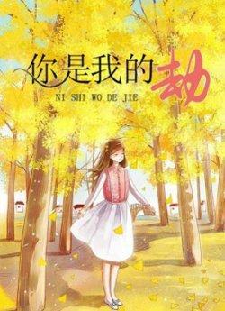 你是我的劫