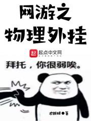 网游之物理外挂