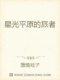 星光平原的旅者