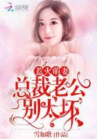 惹火萌妻:总裁老公,别太坏!