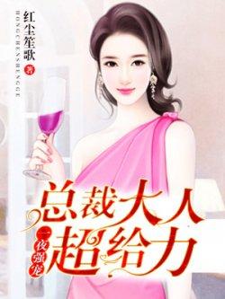 一夜强宠:总裁大人超给力