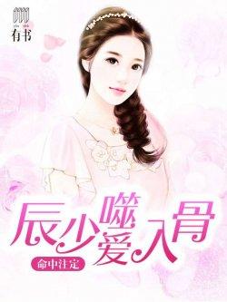命中注定:辰少噬爱入骨