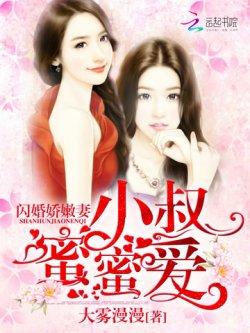闪婚娇嫩妻:小叔蜜蜜爱