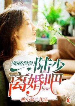 婚路漫漫陆少离婚吧