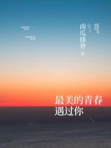 最美的青春遇过你