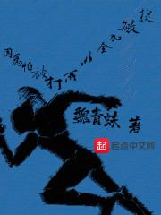 因为怕被打所以全加敏捷