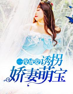 一夜成爱:诱拐娇妻萌宝