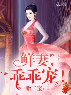 一胎二宝:鲜妻,乖乖宠!