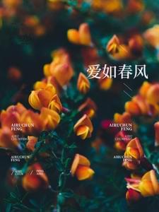 爱如春风