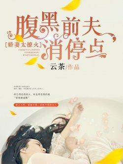 娇妻太撩火:腹黑前夫,消停点!