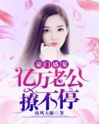 豪门盛宠:亿万老公撩不停