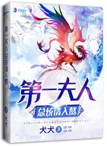 第一夫人:总统请入赘