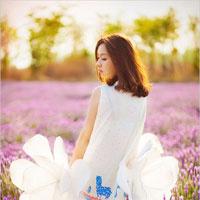 你的爱恰逢花开_你的爱恰逢花开章节