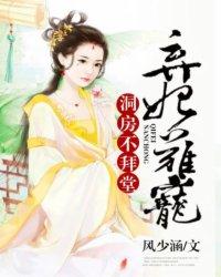 弃妃难宠,洞房不拜堂