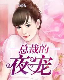总裁的夜宠