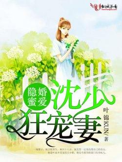 隐婚蜜爱:沈少狂宠妻